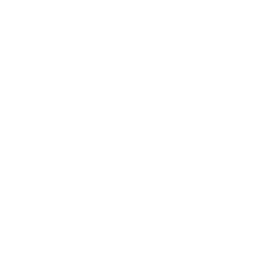 Chef Tomato